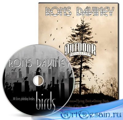 Rons Daviney Birds - ����� ��� �������