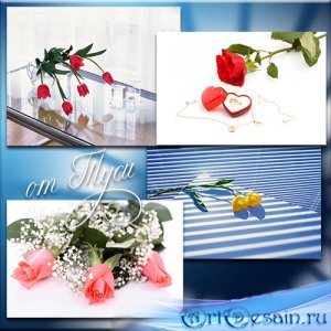 ������� - ���� ������ �������� �����