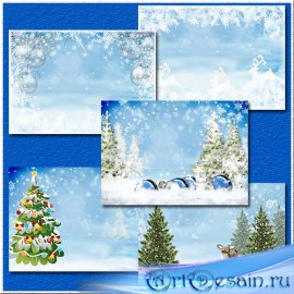 ���� ���������� �� �������� ��� / Hoarfrost on a silvery fir