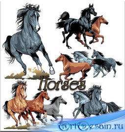 ������  - Vector Stock 