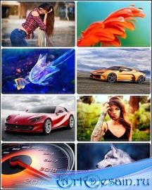 �������� �������� ��������� �� ������� ���� 74