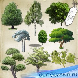 ������� - ������ ������� � ������� �������